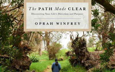 Boek review The Path Made Clear